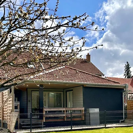 O Ptit Bouleau * Buhl-Lorraine