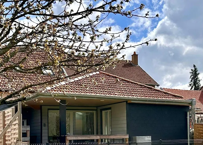 O Ptit Bouleau * Buhl-Lorraine